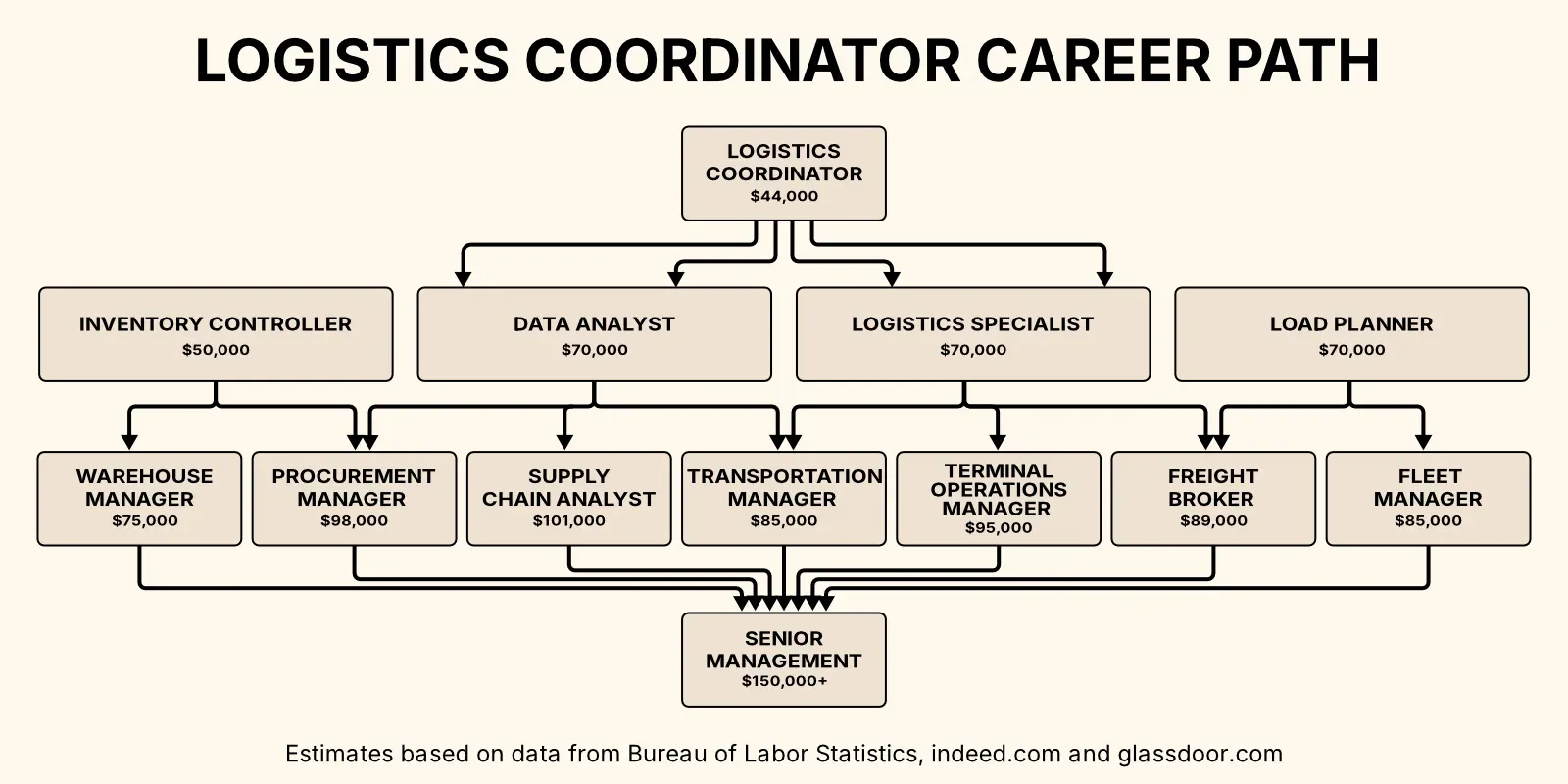 Logistics Coordinator career path showing progression to various specialist and manager roles, ending in senior management