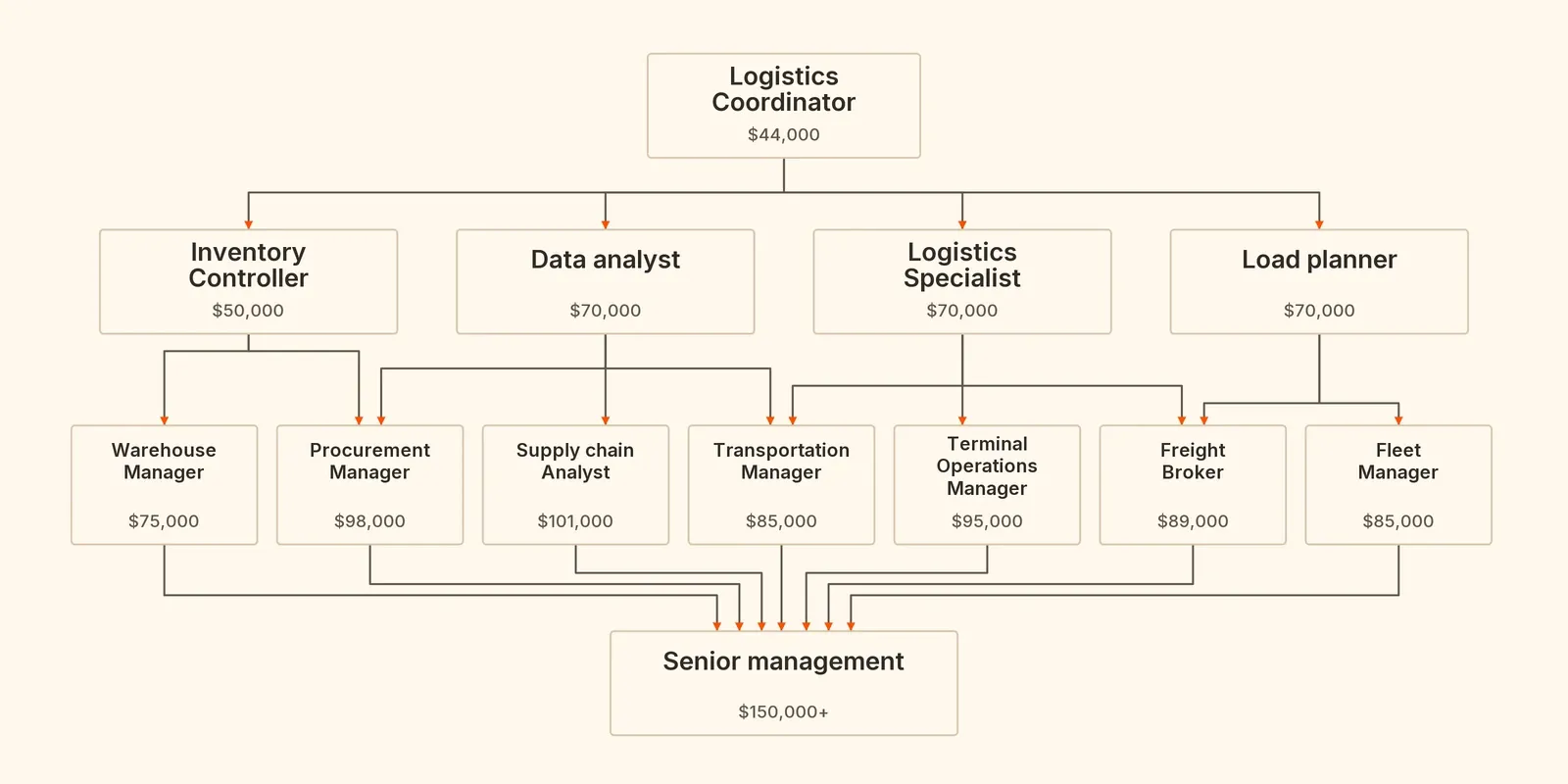 Logistics coordinator career path showing progression to management roles